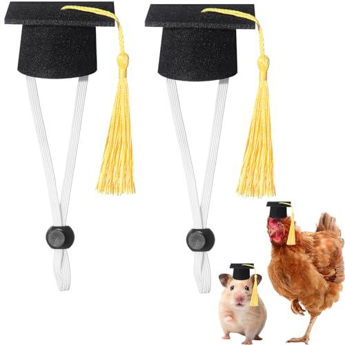 Eccliy Abschlusskappen Mini Junggesellenabschiede Hüte mit Quaste für Kleintiere Meerschweinchen Igel Vogel Schildkröten Hamster Kaninchen Foto Requisiten Abschluss Urlaub Festival Karneval Party Eccliy Abschlusskappen Mini Junggesellenabschiede Hüte mit Quaste für Kleintiere Meerschweinchen Igel Vogel Schildkröten Hamster Kaninchen Foto Requisiten Abschluss Urlaub Festival Karneval Party von Eccliy