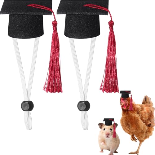 Eccliy Abschlusskappen für Mini-Junggesellenabschiede, mit Quaste für Kleintiere, Meerschweinchen, Igel, Vögel, Schildkröten, Hamster, Kaninchen, Foto-Requisiten, Abschlussfeier, Urlaub, Festival, Eccliy Abschlusskappen für Mini-Junggesellenabschiede, mit Quaste für Kleintiere, Meerschweinchen, Igel, Vögel, Schildkröten, Hamster, Kaninchen, Foto-Requisiten, Abschlussfeier, Urlaub, Festival, von Eccliy