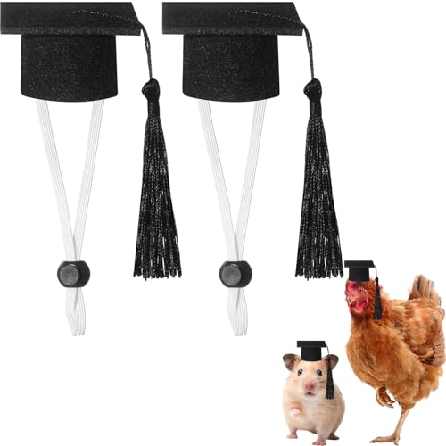 Eccliy Abschlusskappen für kleine Tiere, Meerschweinchen, Igel, Vögel, Schildkröten, Hamster, Kaninchen, Foto-Requisiten, Abschlussfeier, Urlaub, Festival, Karneval, Party-Zubehör (schwarz) von Eccliy