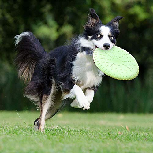 Ecent 3 Stück Frisbee für Hunde mit weicher Gummi Übung Training Hund Spielzeug Haustier zubehör von Ecent
