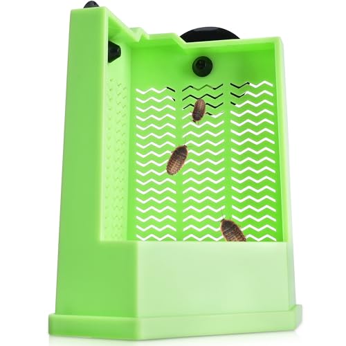 Eckpo Jagd-Ecknapf – Eck-Futterspender für Reptilien mit Saugnapf-Halter, der super fest ist, grün, 12 cm – Größe S Eckpo Jagd-Ecknapf – Eck-Futterspender für Reptilien mit Saugnapf-Halter, der super fest ist, grün, 12 cm – Größe S von Eckpo