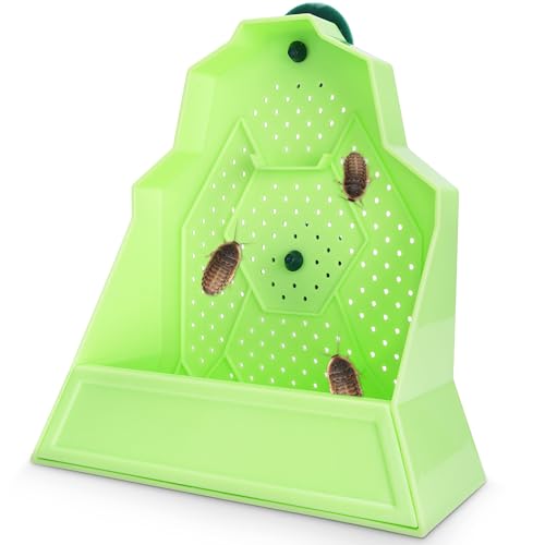 Eckpo Reptilien Anti Escape Futternapf Wandmontierter Futterspender für Reptilien Stimulieren Jagd Zubehör für Terrarium, Vivarium und Paludarium, Geeignet für Eidechse, Gecko & Frosch, Groß von Eckpo