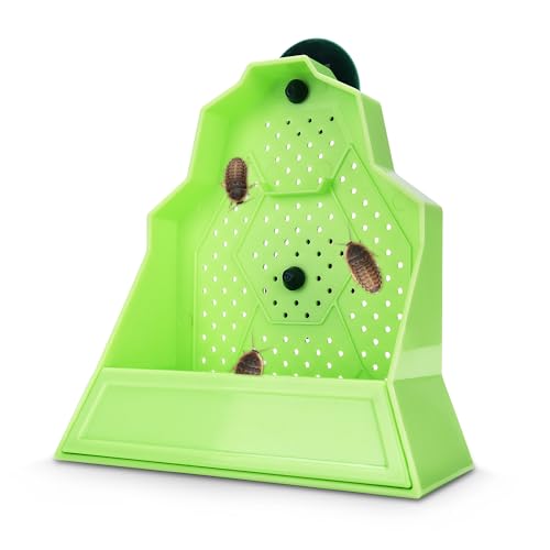 Eckpo Reptilien Anti Escape Futternapf Wandmontierter Futterspender für Reptilien Stimulieren Jagd Zubehör für Terrarium, Vivarium und Paludarium, Geeignet für Eidechse, Gecko & Frosch, Klein Eckpo Reptilien Anti Escape Futternapf Wandmontierter Futterspender für Reptilien Stimulieren Jagd Zubehör für Terrarium, Vivarium und Paludarium, Geeignet für Eidechse, Gecko & Frosch, Klein von Eckpo