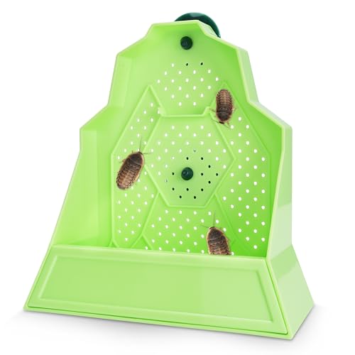Eckpo Reptilien Anti Escape Futternapf Wandmontierter Futterspender für Reptilien Stimulieren Jagd Zubehör für Terrarium, Vivarium und Paludarium, Geeignet für Eidechse, Gecko & Frosch, Medium von Eckpo