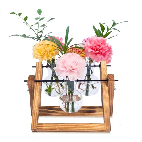 Eclare Pflanzenanzuchtstationen, Desktop-Anzuchtstation mit Holzständer und Glasbirnenvase für Hydrokulturpflanzen, Retro-Pflanzenterrarium für Zuhause & Büro (3 Glühbirnen) von Eclare