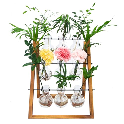 Eclare Pflanzenanzuchtstationen, Desktop-Anzuchtstation mit Holzständer und Glaszwiebelvase für Hydrokulturpflanzen, Retro-Pflanzenterrarium für Zuhause & Büro (9 Glühbirnen) von Eclare