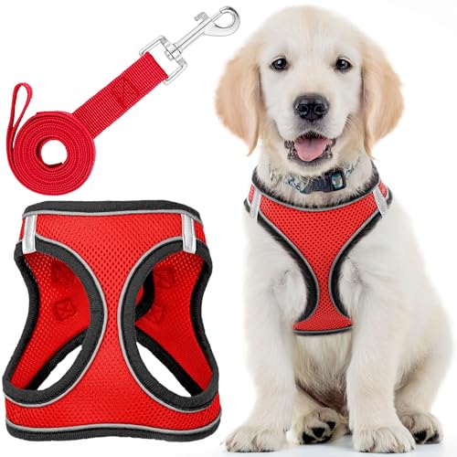 EcoEarth Dog Harness (Small, Rover Red) W/Leash for Running, Hiking & Training, Soft-Padded & No-Pull Design Pet Harness W/Leash Clips & Reflective Strips for Safety by von EcoEarth