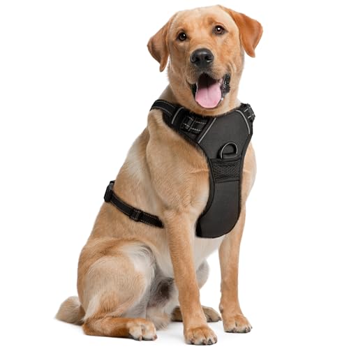 Hundegeschirr (extra groß, schwarz), weich gepolstert und verstellbar, No-Pull-Design, Haustiergeschirr mit 2 Leinen-Clips und reflektierenden Streifen für Sicherheit von EcoEarth von EcoEarth