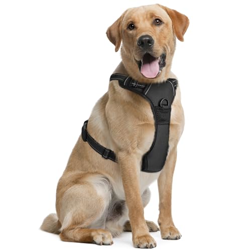 EcoEarth Hundegeschirr (groß, schwarz), weich gepolstert und verstellbar, No-Pull-Design, Haustiergeschirr mit 2 Leinen-Clips und reflektierenden Streifen für Sicherheit von EcoEarth