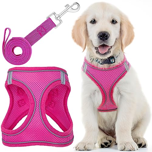 Hundegeschirr (groß, rosa) mit Leine, weich gepolstert und No-Pull-Design, Haustiergeschirr mit Leinenclips und reflektierenden Streifen für Sicherheit von EcoEarth von EcoEarth