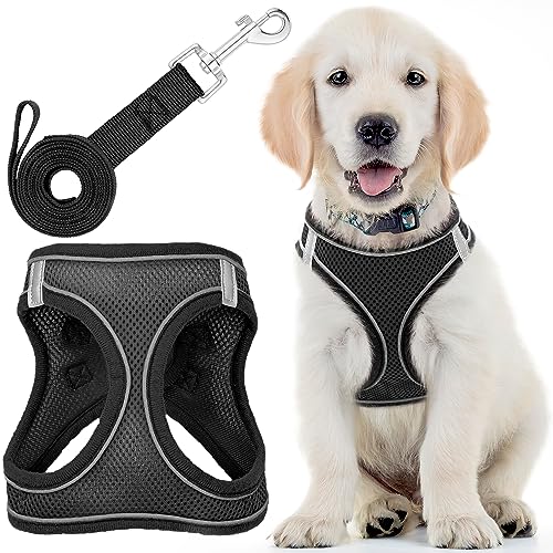Hundegeschirr (groß, schwarz) mit Leine, weich gepolstert und No-Pull-Design, Haustiergeschirr mit Leinenclips und reflektierenden Streifen für Sicherheit von EcoEarth von EcoEarth