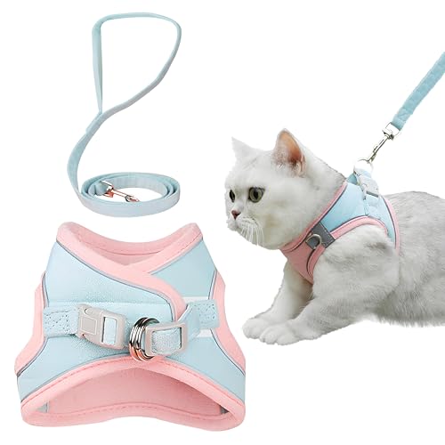 EcoGleam Katzengeschirr und Leine Set für Spaziergänge, Einstellbar Kätzchen Weste Geschirr mit Reflektierend Streif, Anti-Ausbruch Typ Outdoor Haustier Katzen Brustträger EcoGleam Katzengeschirr und Leine Set für Spaziergänge, Einstellbar Kätzchen Weste Geschirr mit Reflektierend Streif, Anti-Ausbruch Typ Outdoor Haustier Katzen Brustträger von EcoGleam
