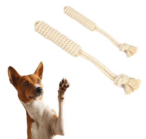 EcoKunst Hundespielzeugseil aus 100% natürlicher Baumwolle für kleine und große Hunde, Kauen, Zahnreinigung für Kleine/Mittlere Hunde (C101, 32 cm) von EcoKunst