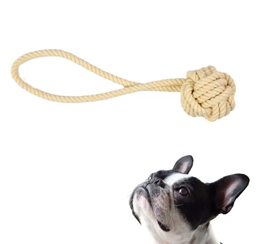 EcoKunst Hundespielzeugseil aus 100% natürlicher Baumwolle für kleine und große Hunde, Kauen, Zahnreinigung für Kleine/Mittlere Hunde (C103, 32 cm) von EcoKunst