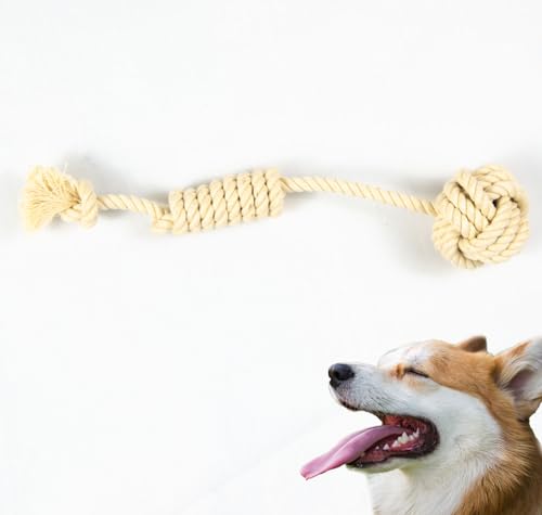 EcoKunst Hundespielzeugseil aus 100% natürlicher Baumwolle für kleine und große Hunde, Kauen, Zahnreinigung für Kleine/Mittlere Hunde (C104, 32 cm) von EcoKunst