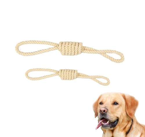 EcoKunst Hundespielzeugseil aus 100% natürlicher Baumwolle für kleine und große Hunde, Kauen, Zahnreinigung für Kleine/Mittlere Hunde (C110, 32 cm) von EcoKunst