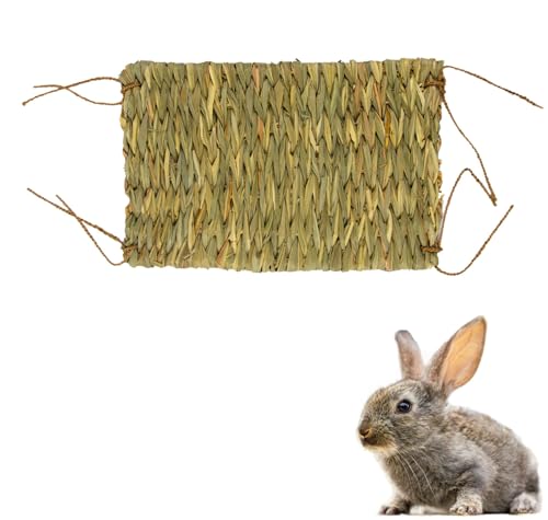 EcoKunst Kleine Haustier-Grasmatte Streu & Substrate Handgewebt Natürliche Kaninchen Grasmatten Spielzeug Hasen nager Kaninchen Ratte Papageien Frettchen Meerschweinchen Hamster zubehör (42 x 28 cm) von EcoKunst