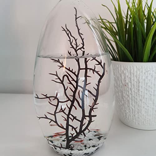 EcoSphere in Eiform - Miniaquarium aus der NASA Weltraumforschung - 19 cm Höhe EcoSphere in Eiform - Miniaquarium aus der NASA Weltraumforschung - 19 cm Höhe von EcoSphere