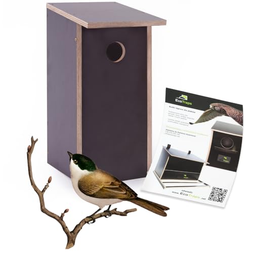 EcoTraps Vogelhaus Wetterfest Nistkasten für Wildvögel/Gartenvögel 59x55x45cm - Stabiler Vogelhäuser für Draußen mit sicherem Schutz gegen Nesträuber - Schwarz Farben - Nistkästen EcoTraps Vogelhaus Wetterfest Nistkasten für Wildvögel/Gartenvögel 59x55x45cm - Stabiler Vogelhäuser für Draußen mit sicherem Schutz gegen Nesträuber - Schwarz Farben - Nistkästen von EcoTraps
