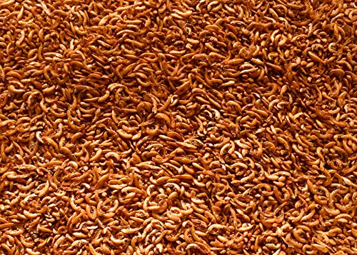 Ecofut Bachflohkrebse Gammarus 300 g für Wasserschildkröten und Koi Karpfen - Bachflohkrebse Gammarus ca. 3 Liter Ecofut Bachflohkrebse Gammarus 300 g für Wasserschildkröten und Koi Karpfen - Bachflohkrebse Gammarus ca. 3 Liter von Ecofut