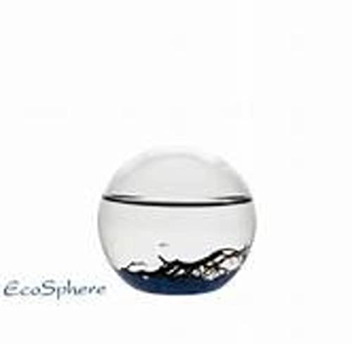 EcoSphere Black 10 cm rund mit 3 oder 4 Garnelen von Ecosphere france