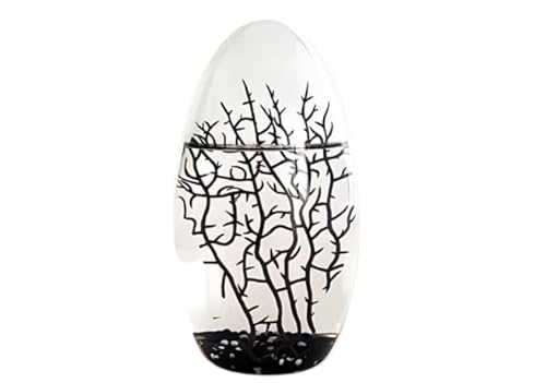 EcoSphere Black Oval 13 cm mit 3 oder 4 Garnelen von Ecosphere france