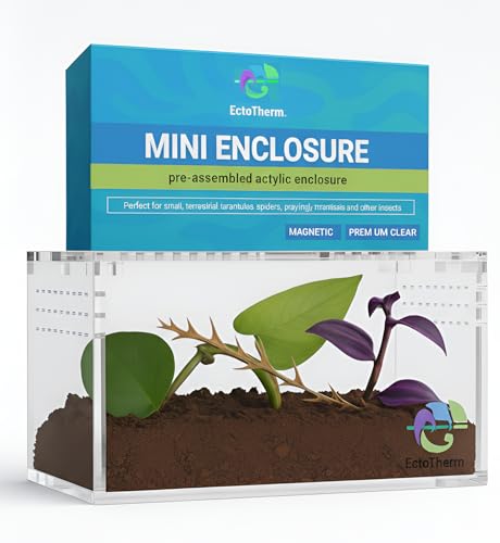 EctoTherm Vogelspinnen-Gehege aus Acryl – vielseitiges Terrarium für terrestrische Vogelspinnen, Skorpion, Isopode, Springspinne, Tausendfüßler, Schnecke, kleine Reptilien und Insektenlebensraum EctoTherm Vogelspinnen-Gehege aus Acryl – vielseitiges Terrarium für terrestrische Vogelspinnen, Skorpion, Isopode, Springspinne, Tausendfüßler, Schnecke, kleine Reptilien und Insektenlebensraum von EctoTherm