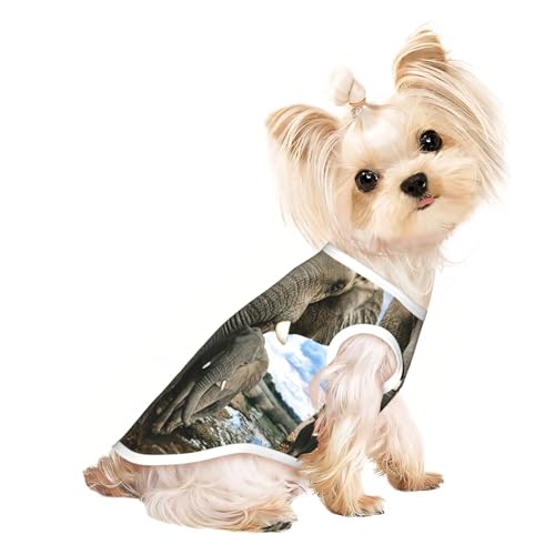 Afrikanische Wildtiere, Elefanten-Druck, Hunde-Shirts für kleine Hunde, dehnbares T-Shirt, leichtes Tank-Top, ärmellos, gestreift von EdWal