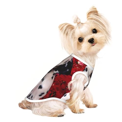 Dalmatiner-Hunde-Shirts für kleine Hunde, dehnbar, leicht, Tanktop, ärmellos, gestreift Dalmatiner-Hunde-Shirts für kleine Hunde, dehnbar, leicht, Tanktop, ärmellos, gestreift von EdWal