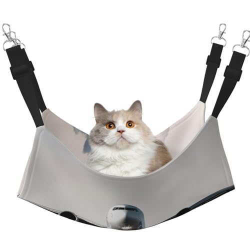 EdWal Weiche Hängematte mit Flugzeug-Kunstdruck, Katzenhängematte zum Aufhängen von Käfigen, Haustier-Hängematte, Bett, verstellbar, für kleine Tiere EdWal Weiche Hängematte mit Flugzeug-Kunstdruck, Katzenhängematte zum Aufhängen von Käfigen, Haustier-Hängematte, Bett, verstellbar, für kleine Tiere von EdWal