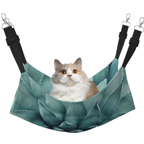 EdWal Weiche Hängematte mit Sukkulenten-Druck, Katzen-Hängematte zum Aufhängen von Käfigen, Haustier-Hängematte, Bett, verstellbar, für kleine Tiere EdWal Weiche Hängematte mit Sukkulenten-Druck, Katzen-Hängematte zum Aufhängen von Käfigen, Haustier-Hängematte, Bett, verstellbar, für kleine Tiere von EdWal