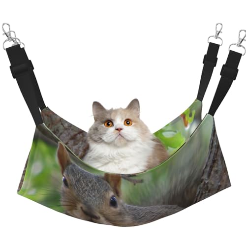 EdWal Weiche Schlaf-Hängematte mit Eichhörnchen im Baum-Druck, Katzenhängematte zum Aufhängen von Käfigen, Haustier-Hängematte, Bett, verstellbar, für kleine Tiere EdWal Weiche Schlaf-Hängematte mit Eichhörnchen im Baum-Druck, Katzenhängematte zum Aufhängen von Käfigen, Haustier-Hängematte, Bett, verstellbar, für kleine Tiere von EdWal