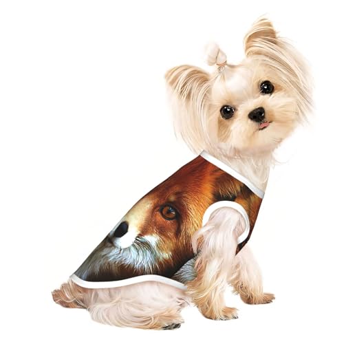 FOX2 Hunde-Shirts für kleine Hunde, dehnbar, leicht, Tanktop, ärmellos, gestreift von EdWal