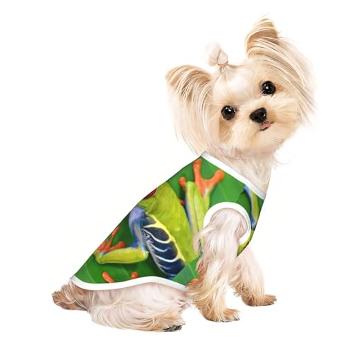 Hunde-Shirts für kleine Hunde, Motiv: Frosch, grüne Blätter, dehnbar, leicht, Tanktop, ärmellos, gestreift Hunde-Shirts für kleine Hunde, Motiv: Frosch, grüne Blätter, dehnbar, leicht, Tanktop, ärmellos, gestreift von EdWal