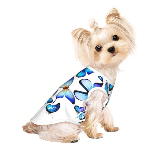 Hunde-Shirts für kleine Hunde, dehnbar, leicht, Tanktop, ärmellos, gestreift, Blau Hunde-Shirts für kleine Hunde, dehnbar, leicht, Tanktop, ärmellos, gestreift, Blau von EdWal