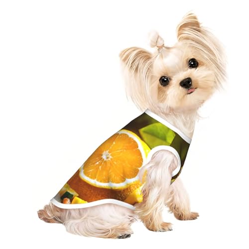 Hunde-Shirts für kleine Hunde, dehnbar, leicht, Tanktop, ärmellos, gestreift, Gelb Hunde-Shirts für kleine Hunde, dehnbar, leicht, Tanktop, ärmellos, gestreift, Gelb von EdWal