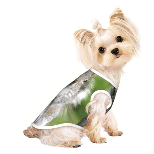 Hunde-Shirts für kleine Hunde, dehnbar, leicht, Tanktop, ärmellos, gestreift, Rot Hunde-Shirts für kleine Hunde, dehnbar, leicht, Tanktop, ärmellos, gestreift, Rot von EdWal