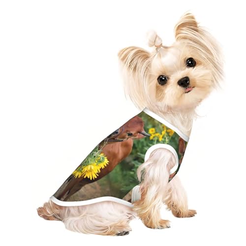 Hunde-Shirts für kleine Hunde, dehnbar, leicht, Tanktop, ärmellos, gestreift Hunde-Shirts für kleine Hunde, dehnbar, leicht, Tanktop, ärmellos, gestreift von EdWal