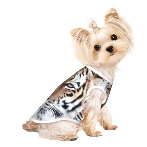 Hunde-Shirts für kleine Hunde, dehnbar, leicht, Tanktop, ärmellos, gestreift Hunde-Shirts für kleine Hunde, dehnbar, leicht, Tanktop, ärmellos, gestreift von EdWal