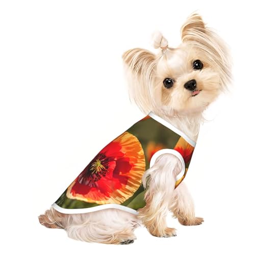 Hunde-Shirts für kleine Hunde, dehnbar, leicht, Tanktop, ärmellos, gestreift von EdWal