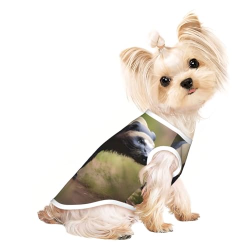 Hunde-Shirts für kleine Hunde, dehnbar, leicht, Tanktop, ärmellos, gestreift Hunde-Shirts für kleine Hunde, dehnbar, leicht, Tanktop, ärmellos, gestreift von EdWal