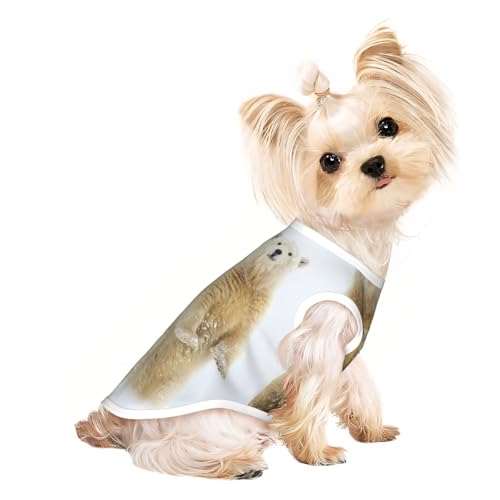Hunde-Shirts mit Eisbär-Aufdruck, für kleine Hunde, dehnbar, leicht, Tanktop, ärmellos, gestreift Hunde-Shirts mit Eisbär-Aufdruck, für kleine Hunde, dehnbar, leicht, Tanktop, ärmellos, gestreift von EdWal