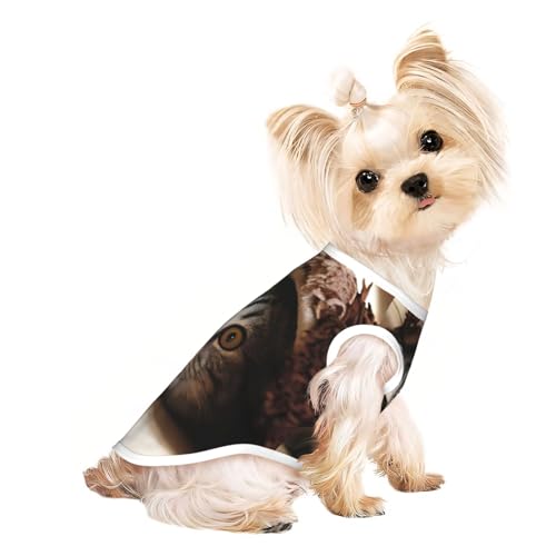 Hunde-Shirts mit Katzenunterdecke für kleine Hunde, dehnbar, leicht, Tanktop, ärmellos, gestreift Hunde-Shirts mit Katzenunterdecke für kleine Hunde, dehnbar, leicht, Tanktop, ärmellos, gestreift von EdWal