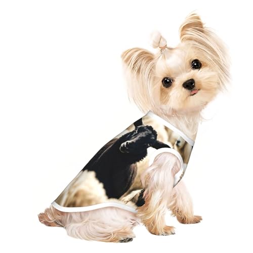 Hunde-Shirts mit Schaf- und Lämmer-Aufdruck für kleine Hunde, dehnbares T-Shirt, leichtes Tank-Top, ärmellos, gestreift Hunde-Shirts mit Schaf- und Lämmer-Aufdruck für kleine Hunde, dehnbares T-Shirt, leichtes Tank-Top, ärmellos, gestreift von EdWal