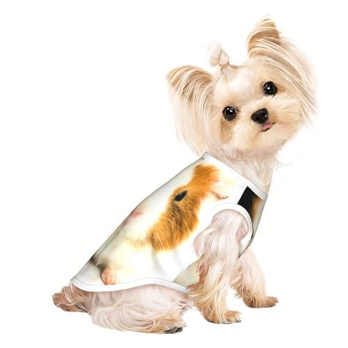 Hunde-Shirts mit niedlichem Meerschweinchen-Aufdruck für kleine Hunde, dehnbares T-Shirt, leichtes Tank-Top, ärmellos, gestreift von EdWal