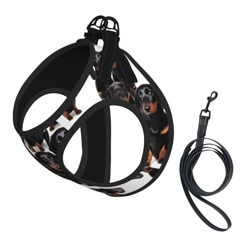 Hundegeschirr mit Dackel-Motiv, 2 x Schnalle, Hundeweste, kein Ziehen an der Vorderseite, für kleine und mittelgroße Hunde Hundegeschirr mit Dackel-Motiv, 2 x Schnalle, Hundeweste, kein Ziehen an der Vorderseite, für kleine und mittelgroße Hunde von EdWal