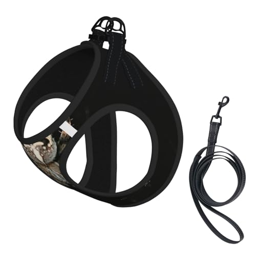 Hundegeschirr mit gruseligem Spinnendruck, 2 x Schnalle, Hundeweste, kein Ziehen an der Vorderseite, für kleine und mittelgroße Hunde Hundegeschirr mit gruseligem Spinnendruck, 2 x Schnalle, Hundeweste, kein Ziehen an der Vorderseite, für kleine und mittelgroße Hunde von EdWal