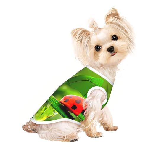Lustiges Marienkäfer mit Regenschirmen bedruckt, Hunde-Shirts für kleine Hunde, dehnbares T-Shirt, leichtes Tank-Top, ärmellos, gestreifte Weste Lustiges Marienkäfer mit Regenschirmen bedruckt, Hunde-Shirts für kleine Hunde, dehnbares T-Shirt, leichtes Tank-Top, ärmellos, gestreifte Weste von EdWal