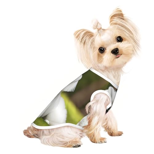 Niedliches Hunde-Shirt mit Bichon-Frisé-Aufdruck für kleine Hunde, dehnbares T-Shirt, leichtes Tank-Top, ärmellos, gestreift Niedliches Hunde-Shirt mit Bichon-Frisé-Aufdruck für kleine Hunde, dehnbares T-Shirt, leichtes Tank-Top, ärmellos, gestreift von EdWal