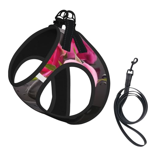 Spa Hundegeschirr mit Stein- und Rosen-Aufdruck, 2 x Schnalle, Hundeweste, kein Ziehen an der Vorderseite, für kleine und mittelgroße Hunde Spa Hundegeschirr mit Stein- und Rosen-Aufdruck, 2 x Schnalle, Hundeweste, kein Ziehen an der Vorderseite, für kleine und mittelgroße Hunde von EdWal